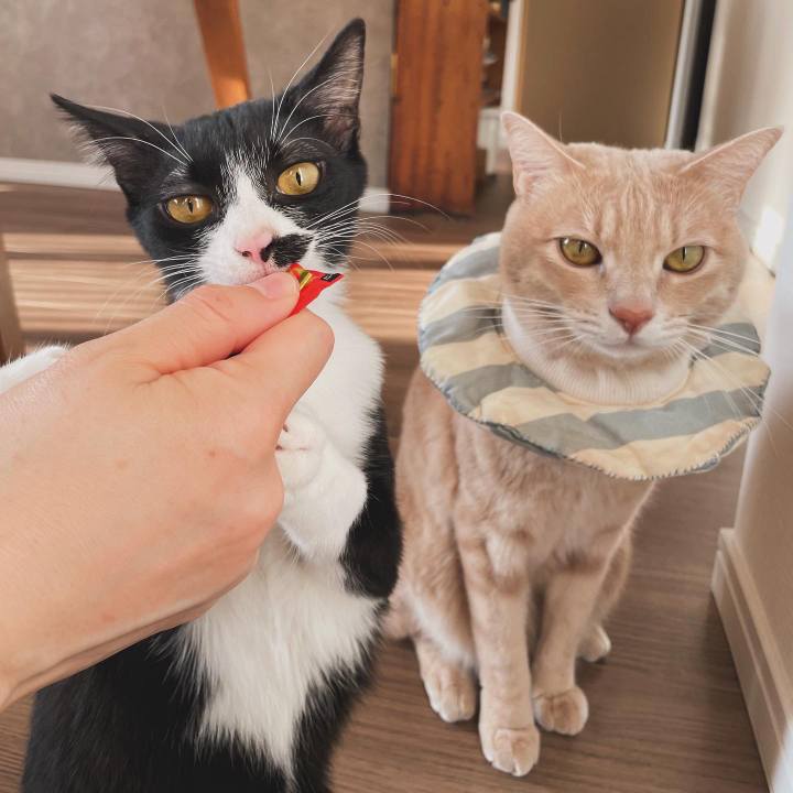 E0fd971a 2d49 43d8 93e5 2504413574ea 1709293247455