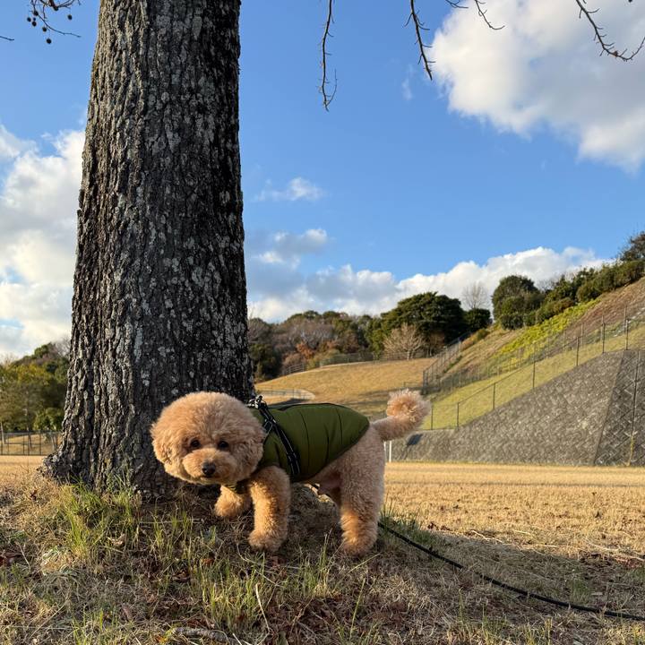 E0fde104 06f3 4f64 b498 b0994cd4e6bc 1768117988505