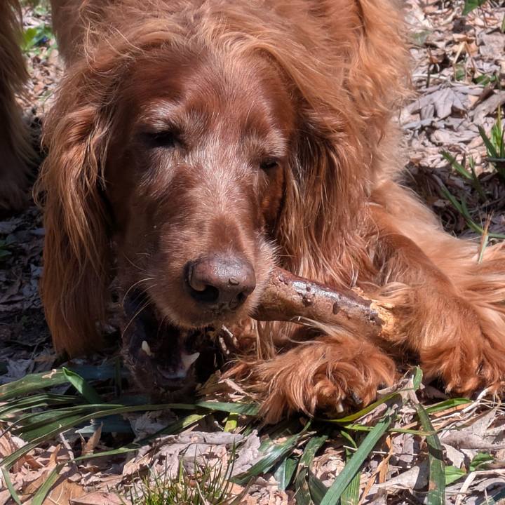 E0fdf022 df53 4d69 a0ec eab301bb1b1b 1775444863442