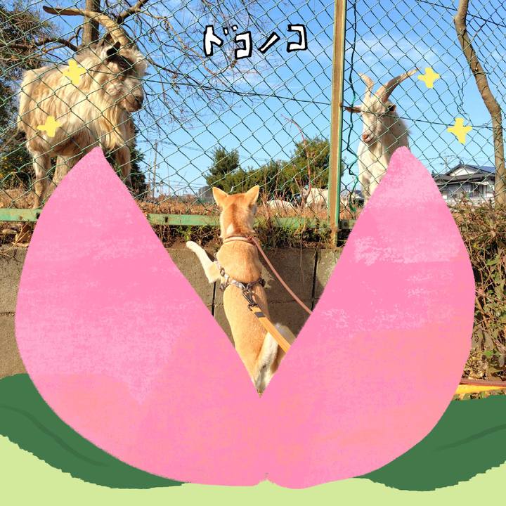 E0fe1a3a d036 4656 8e2a 27092e8aaa76 1772182793645