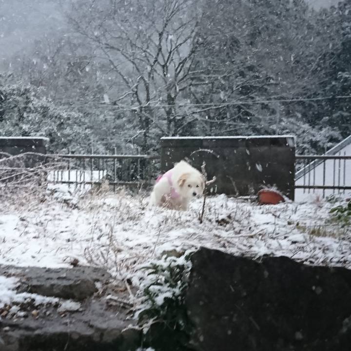 E0fe38b1 04ee 400c 975c 68db75ddb761 1548455045353