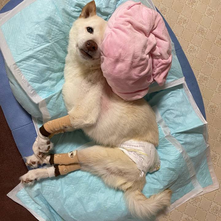 E0fe404c 97b5 4c0a b6d3 cdbc1c18a4e0 1686212224441