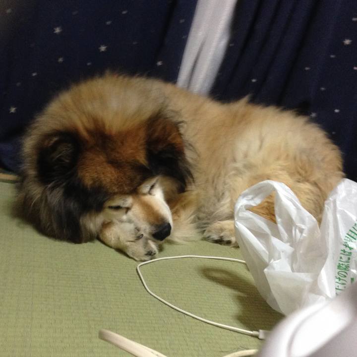 E0fe536a c9bd 457b 95ab 63e974815176 1548145641181