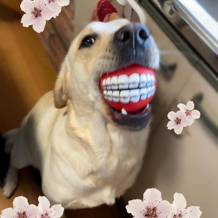 E0fe788a 58bc 4a50 bf8e ff2ba5ff5cca 1649076149383