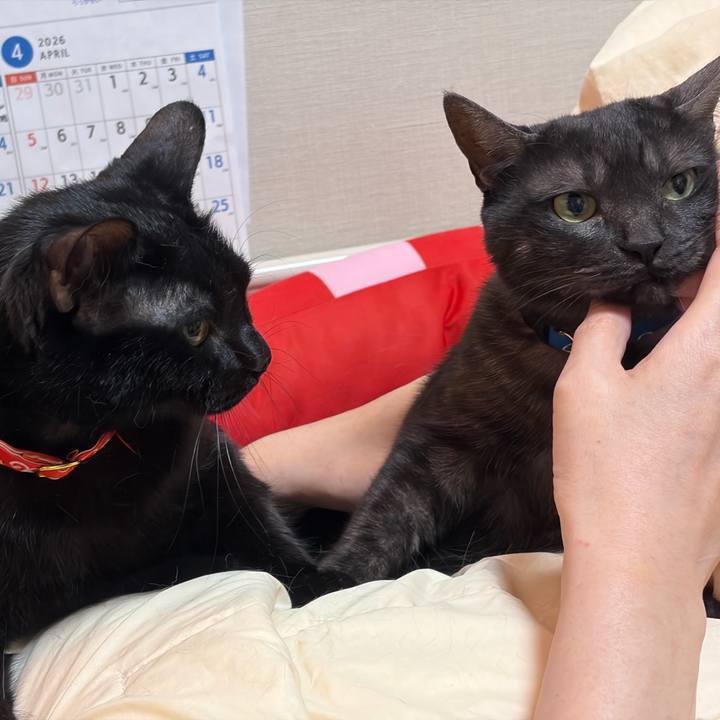 E0fe91ff 2fd4 4dfd b362 03e064209d8b 1772369945200