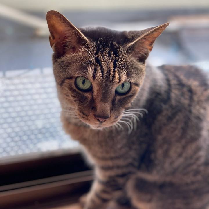 E0fed673 63cd 4018 93ca 16f13e040dbf 1617068032653