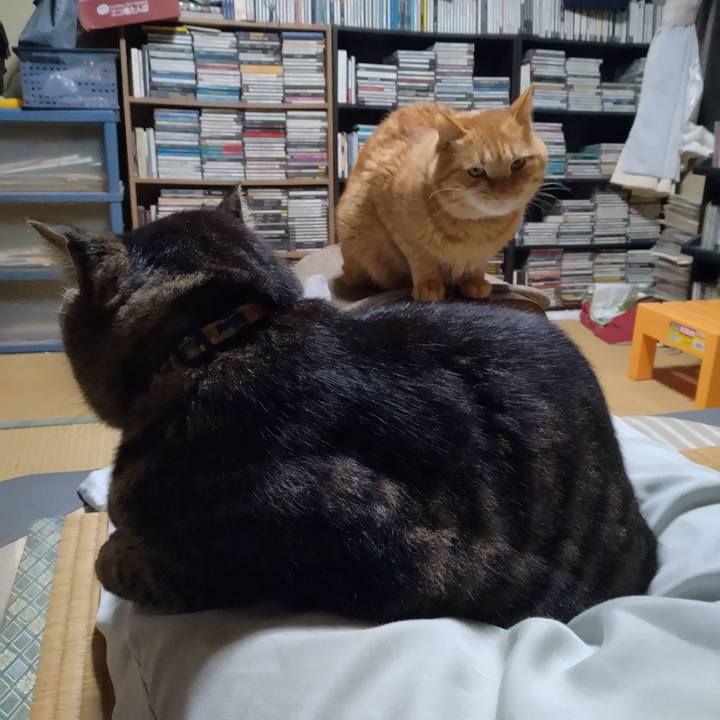 E0fed8a3 84f6 43b1 8e3c a0a22ec9cdbb 1732524279843