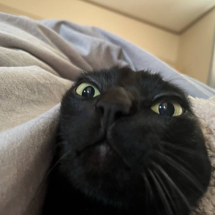 E0fef682 256f 45cc 94c2 11c9ed4110ee 1767138705289