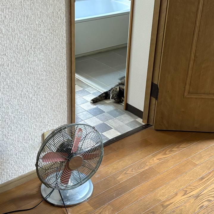 E0fef801 aceb 46c9 b667 2a6f5c62fbf3 1753654529710