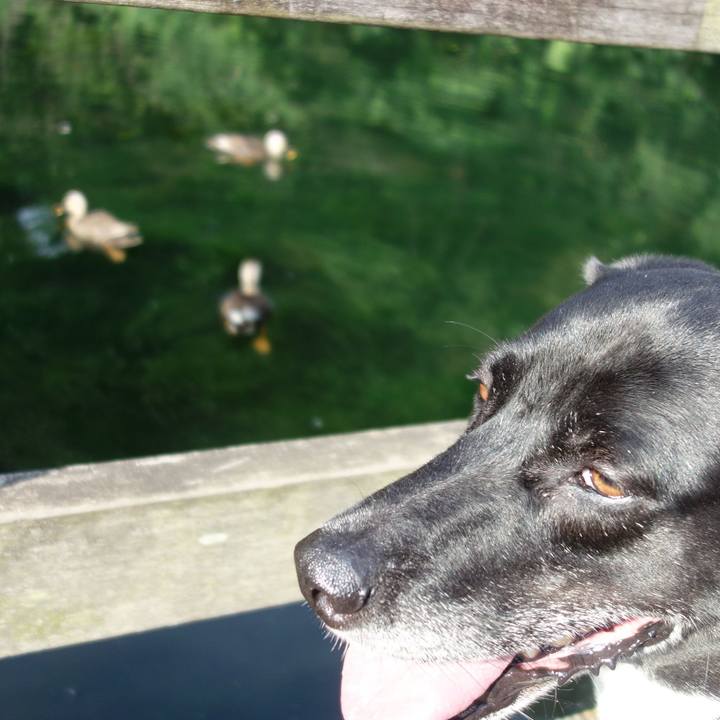 E0ff1be5 2d89 41af 9ee1 c3a77683ce26 1657323874480