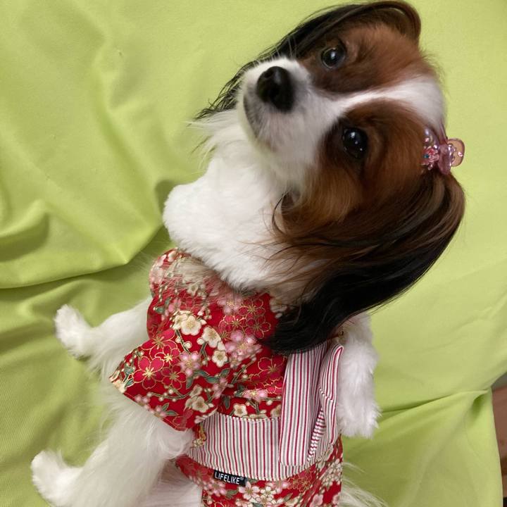 E0ff3930 fc64 4f6e a495 6685dd7eceb8 1636641989943