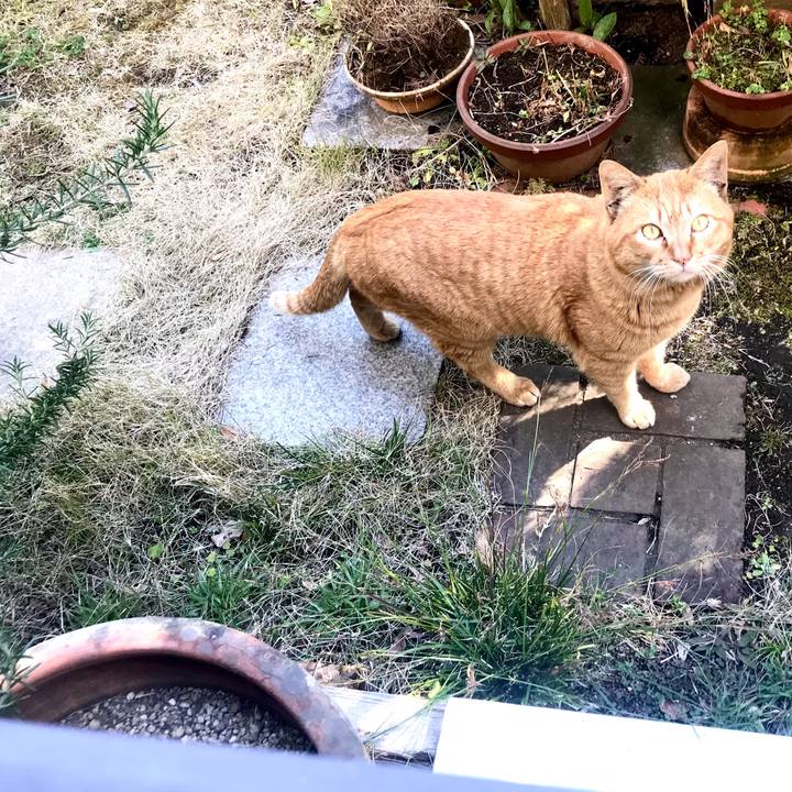 E0ff534f e54b 4658 ad8a d862bab597e9 1614320910693