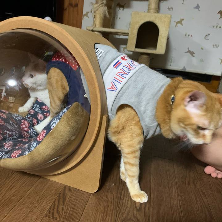 E0ff60e2 757b 4213 b6a4 86598d50b935 1617363675208