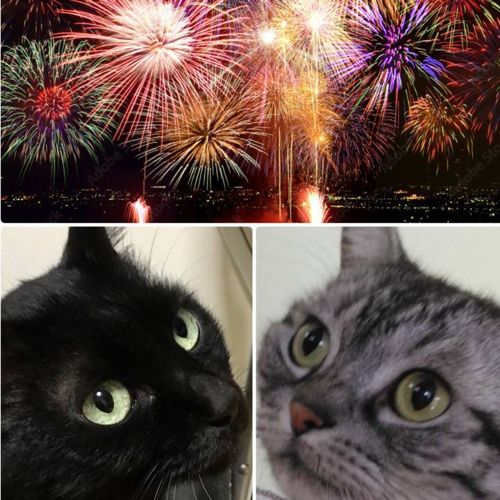 E0ff6422 0d52 4d2a b6fc 9e433fa23128 1756549312394