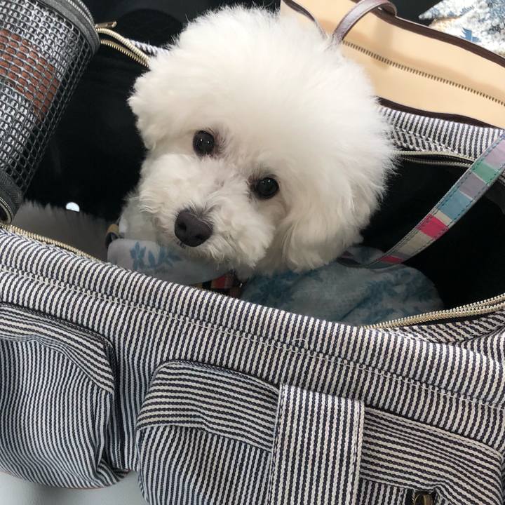 E0ff82f3 74cc 4d42 a412 736cf6c08b6b 1559725881672