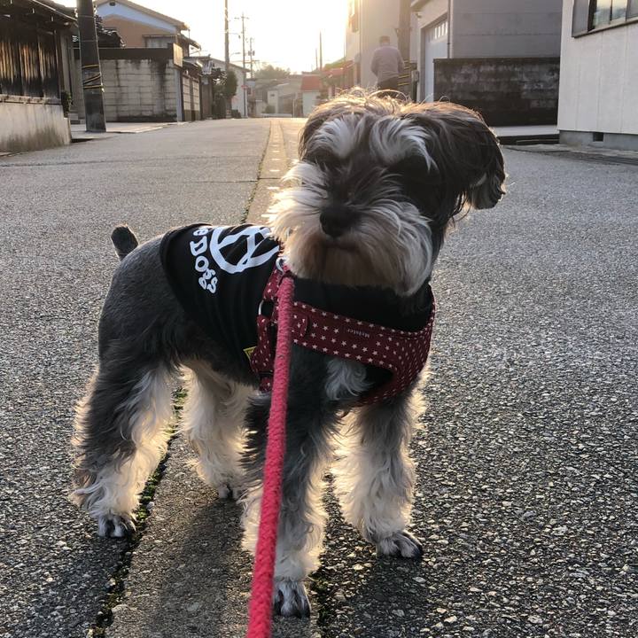 E0ff8957 de68 4575 bbd4 90a8b98da737 1547306446741