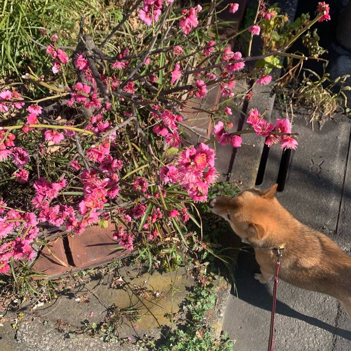 E0ff97ad 02fe 44b4 9cfc 25a79226ca98 1770180215495