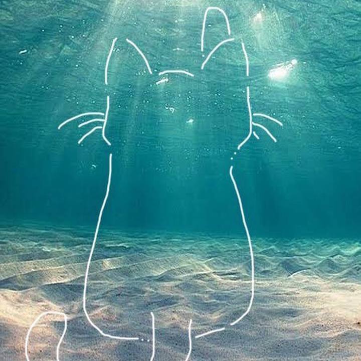 E0ff987f fc0a 4065 9990 cbd9760957d7 1705310585901