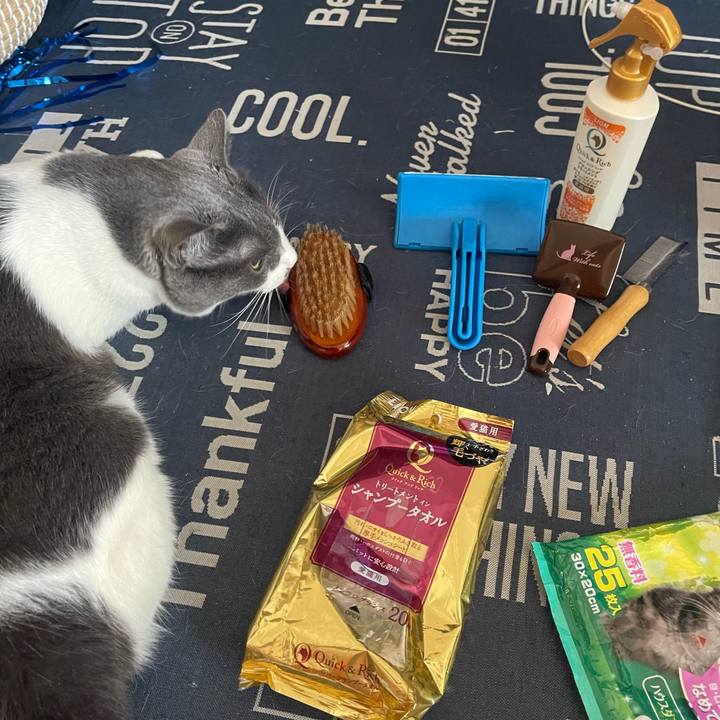 E0ffc8f6 26da 4306 b3f7 6e300e1cac3c 1722133286432