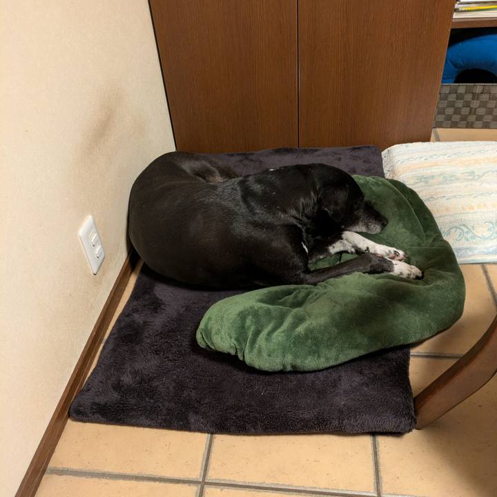 E1001996 0afe 4576 b9aa 0becb06ff885 1761601895414