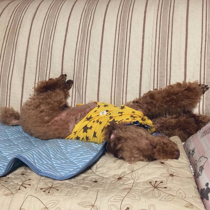 E10039fe e671 44fa b0c2 73ff54c8a3ec 1566805772599