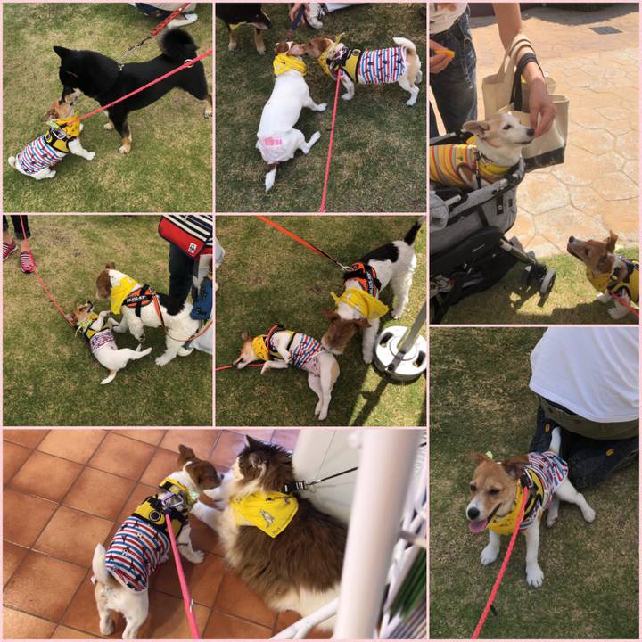 E1005579 1361 4b9d b210 fe463abc0b93 1558830452145