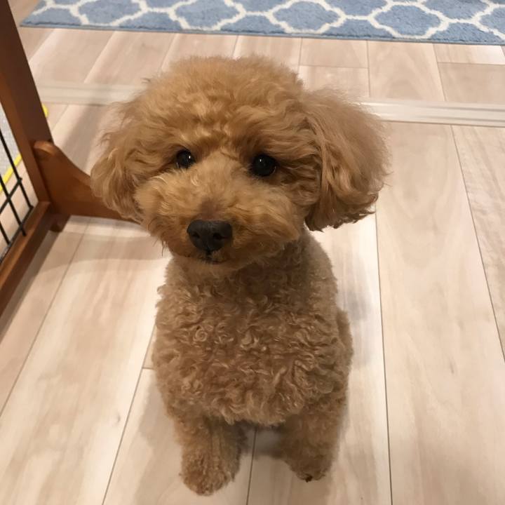 E100565a 950f 4ed3 b53e 9af51b4f722c 1553767392647