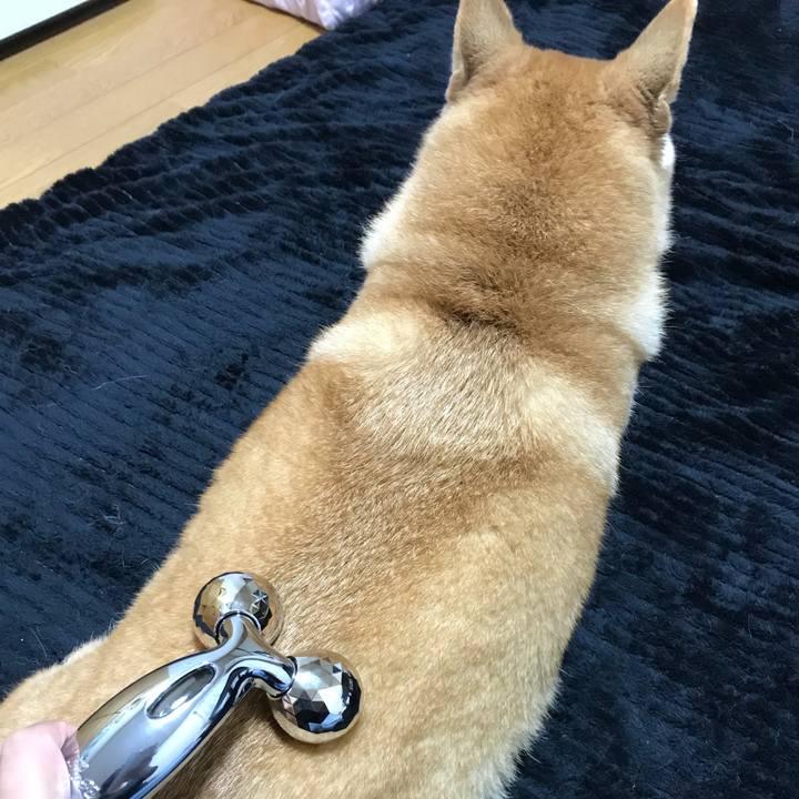 E1006b17 fd55 4d28 90a3 5d4dbe803ba7 1508927253940