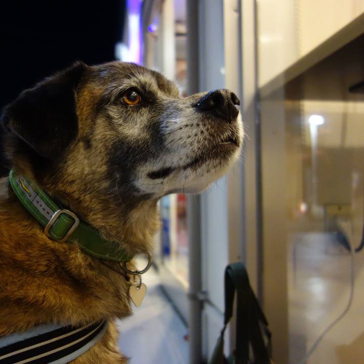 E100f9fc 2146 435a b76f e59e602ea007 1621646030820