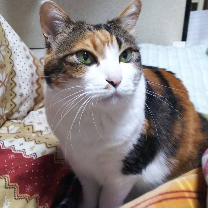 E1010141 99b1 492f 9ec7 276d44e96441 1556752047489