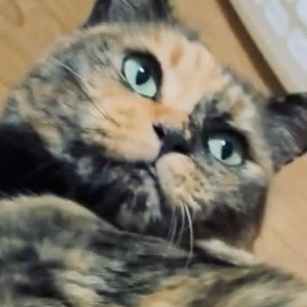 E1011dbb ac8b 4360 9f66 150795eb8668 1757449185200