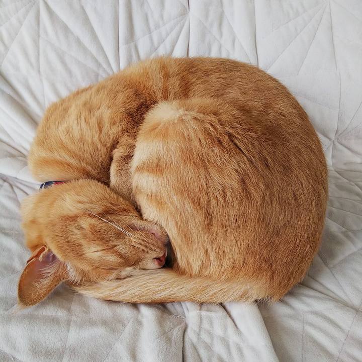 E10139cb 55e9 44e5 ac83 4d3934d82f15 1598827801646