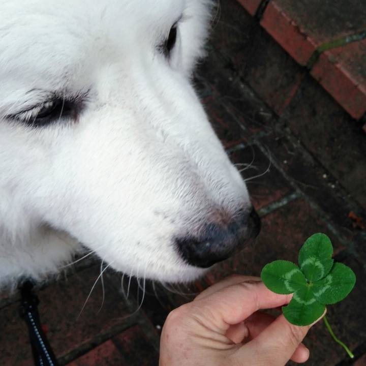 E1014098 0aab 4737 91e2 26ed630da474 1686956243944