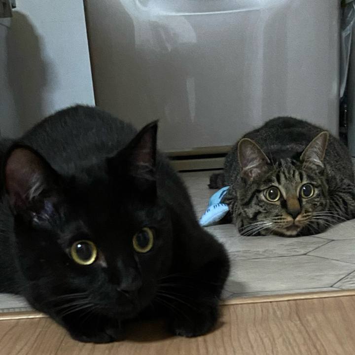 E1014e47 5575 453a 9ab2 d11aaf732e51 1624534651681