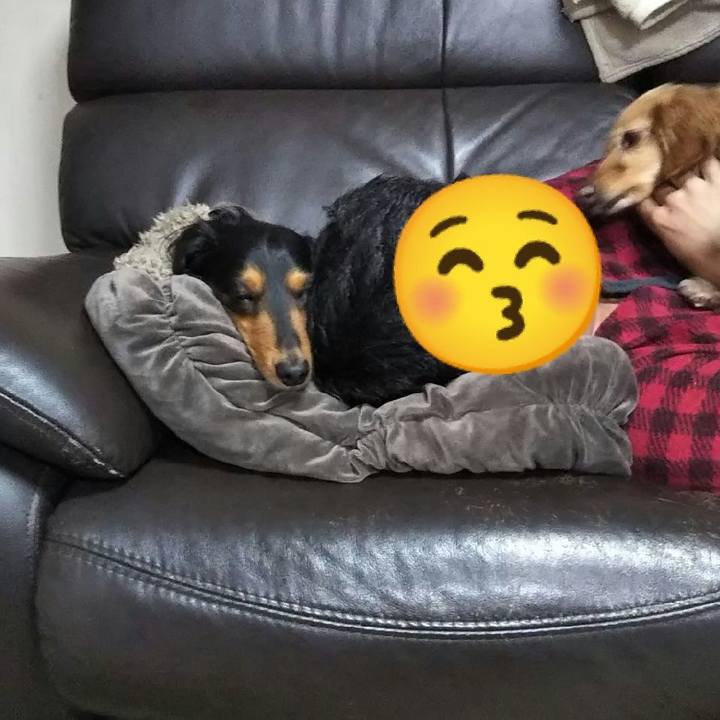 E1015f43 d529 48fd 9fb0 3f63098afaab 1620054407350