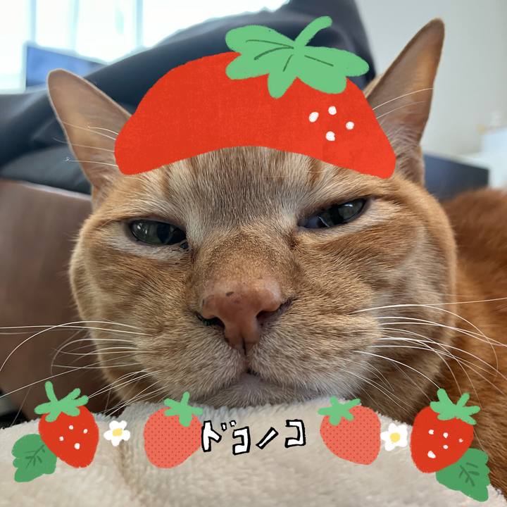 E10167b3 a5b9 424b 8628 254eaf8f3f23 1775210003027