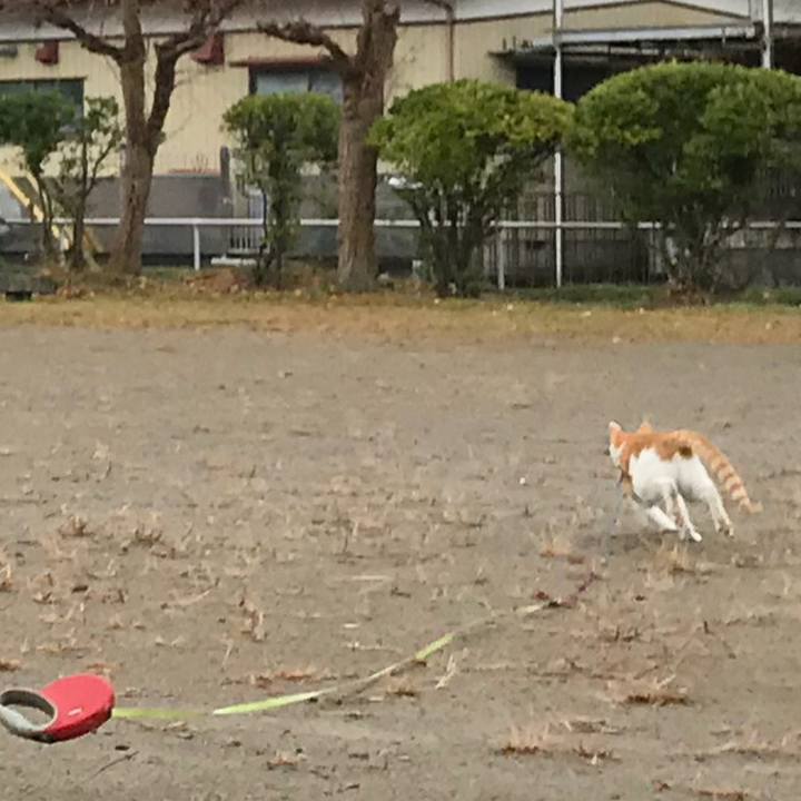 E1016b1d 92af 49b0 ba3b 4131938d30ba 1511492822909