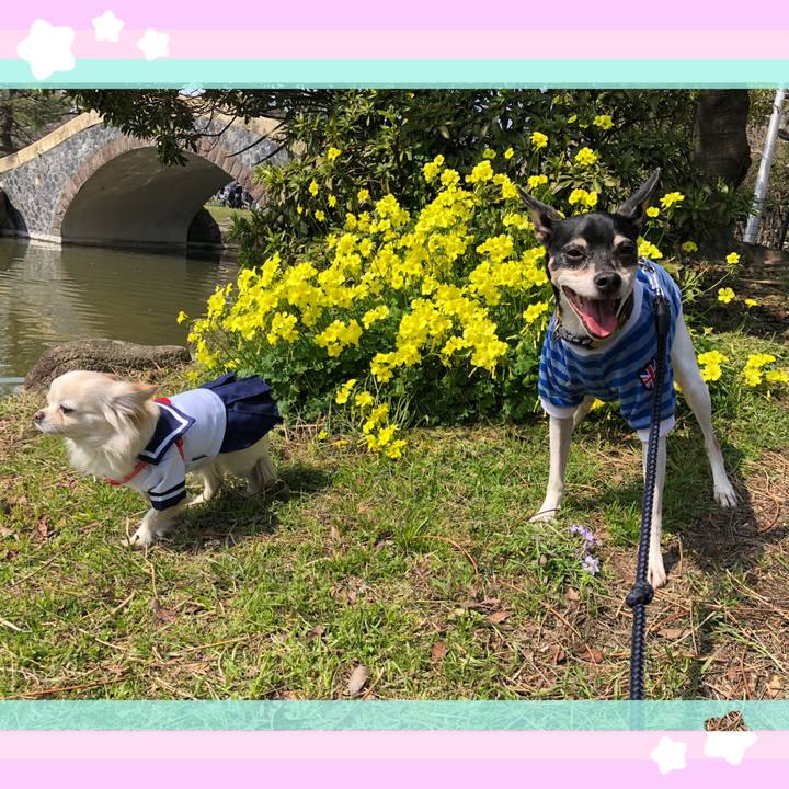 E1019a11 5189 4533 ac44 a87b1b0ddf5e 1522055555836