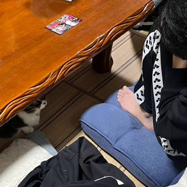 E101a7ac f766 433b 91ad b6e470e3e8d9 1772408481570