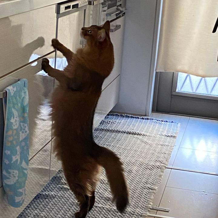 E101c32f d8b9 4c92 87a7 cd3d2d7fed65 1735034727490