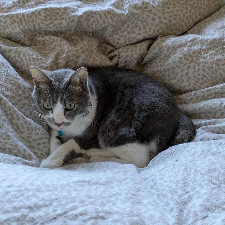 E101d54c d923 491f 90a0 a7a83dff2019 1734838198197