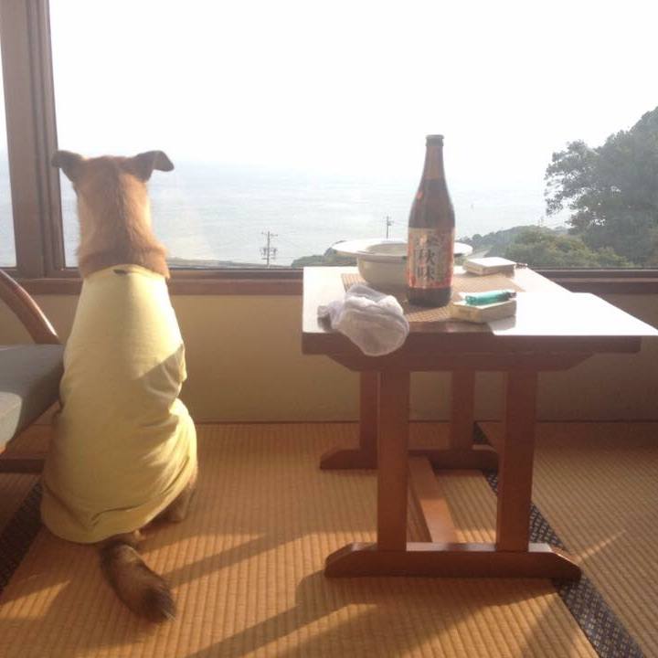 E101ee4a 825f 40a1 acc8 01decba5bab6 1530349329619