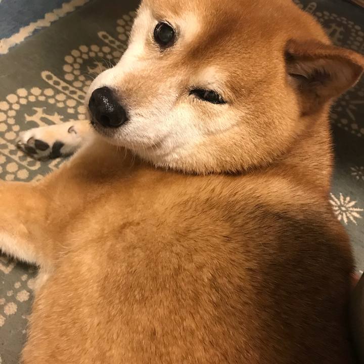 E10212cf 5cfc 4637 995f cf7a6a5fa072 1526192638237