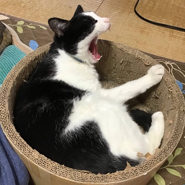 E10227de 1952 4f42 9a42 0f023c0c2308 1744016933657