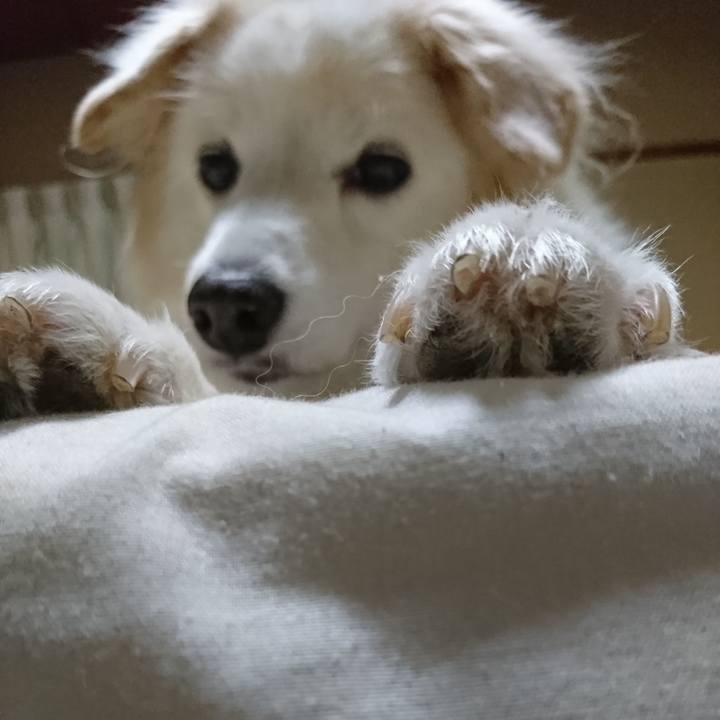 E1024cf6 73b6 4302 9980 5ed02281216a 1637963239100