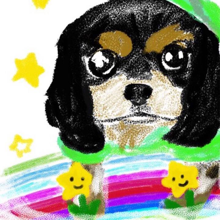 E1026038 3832 496e bead bdab43a708e1 1583123867806