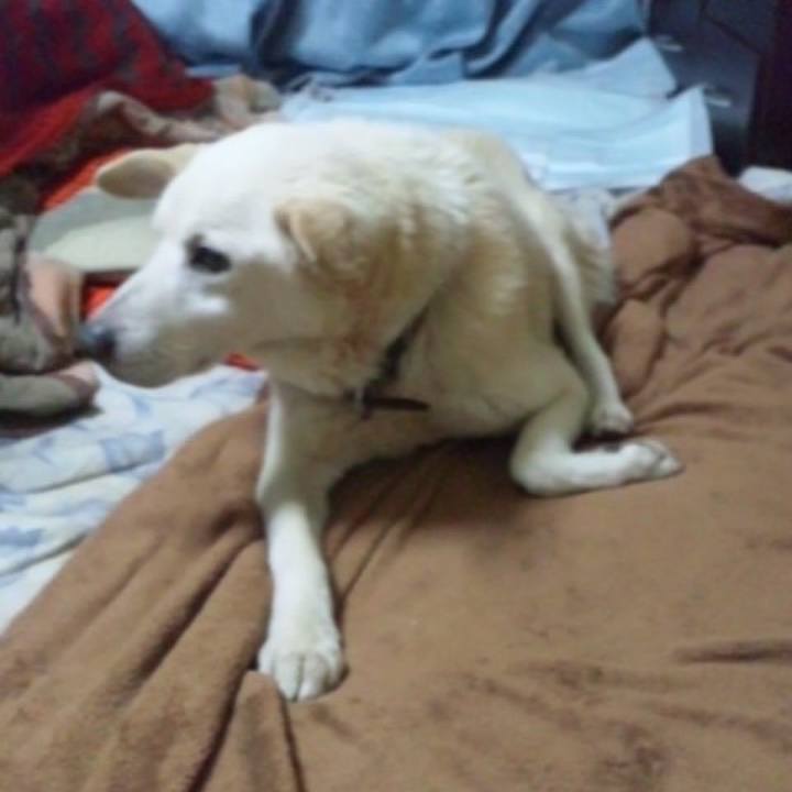 E1027b9b 05cb 4f25 8c20 edd8a07731f3 1514719462966