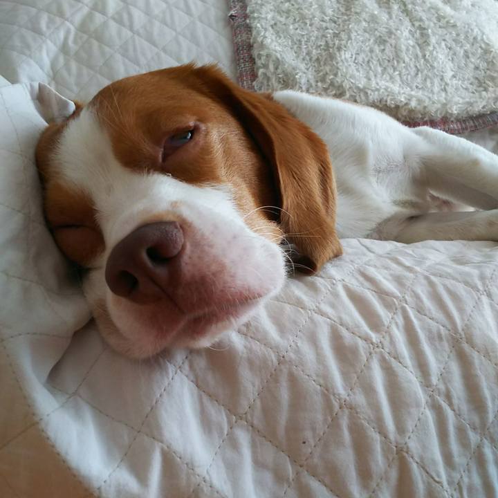 E1027dd0 7169 43e1 a792 c4cf5ebd189f 1533367202636