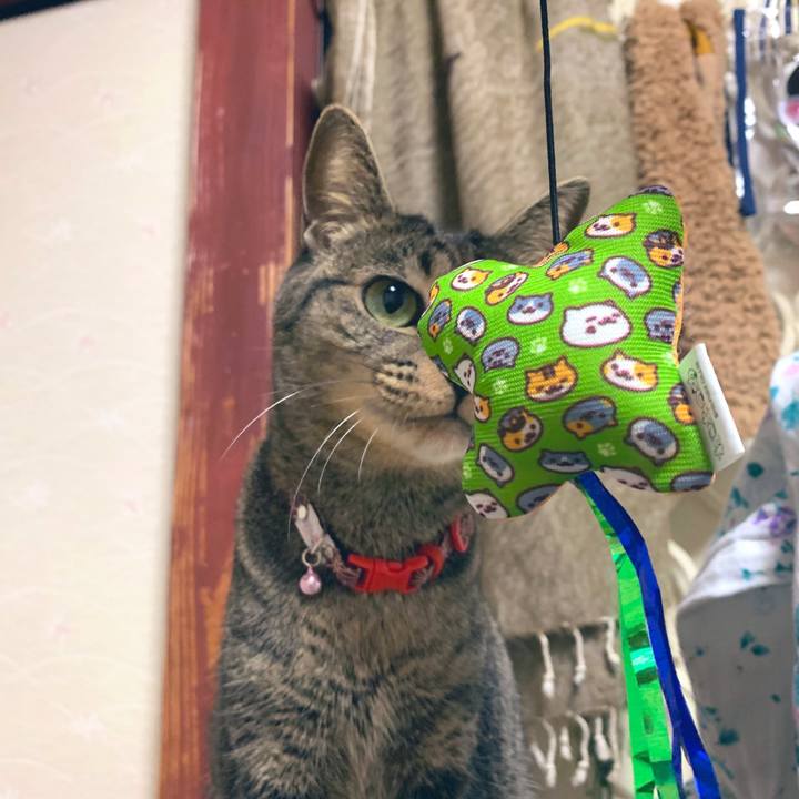 E1028301 e3a1 4d57 b174 036f7572a07b 1545830375257