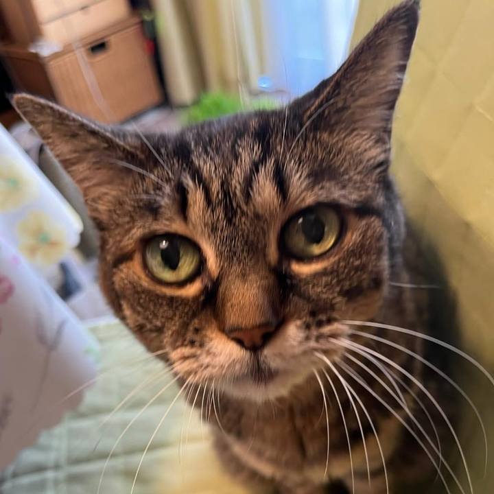 E1029733 5372 4c3a b136 519a624c9c35 1760451120805